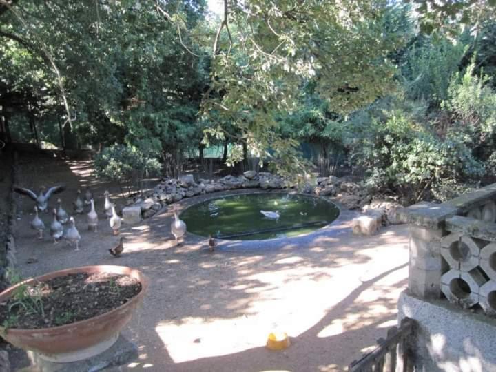 Parco Delle Streghe Villa สการ์ลีโน ภายนอก รูปภาพ