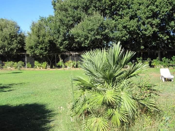 Parco Delle Streghe Villa สการ์ลีโน ภายนอก รูปภาพ