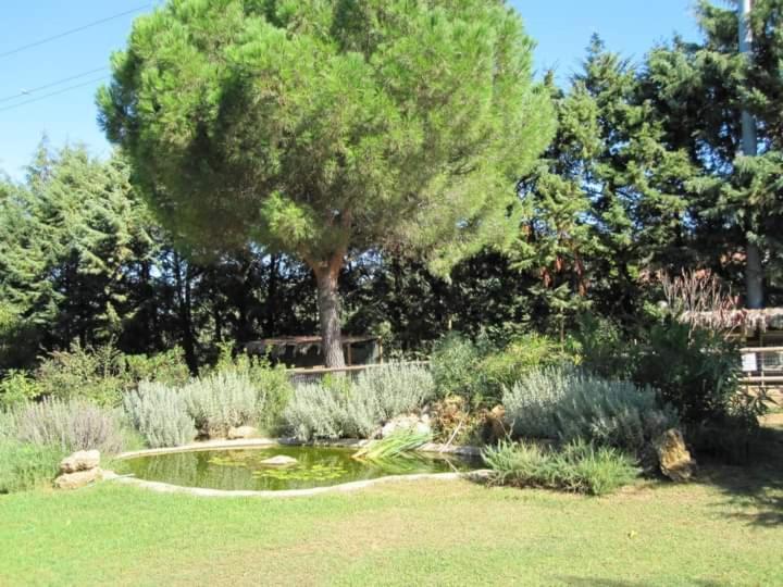 Parco Delle Streghe Villa สการ์ลีโน ภายนอก รูปภาพ